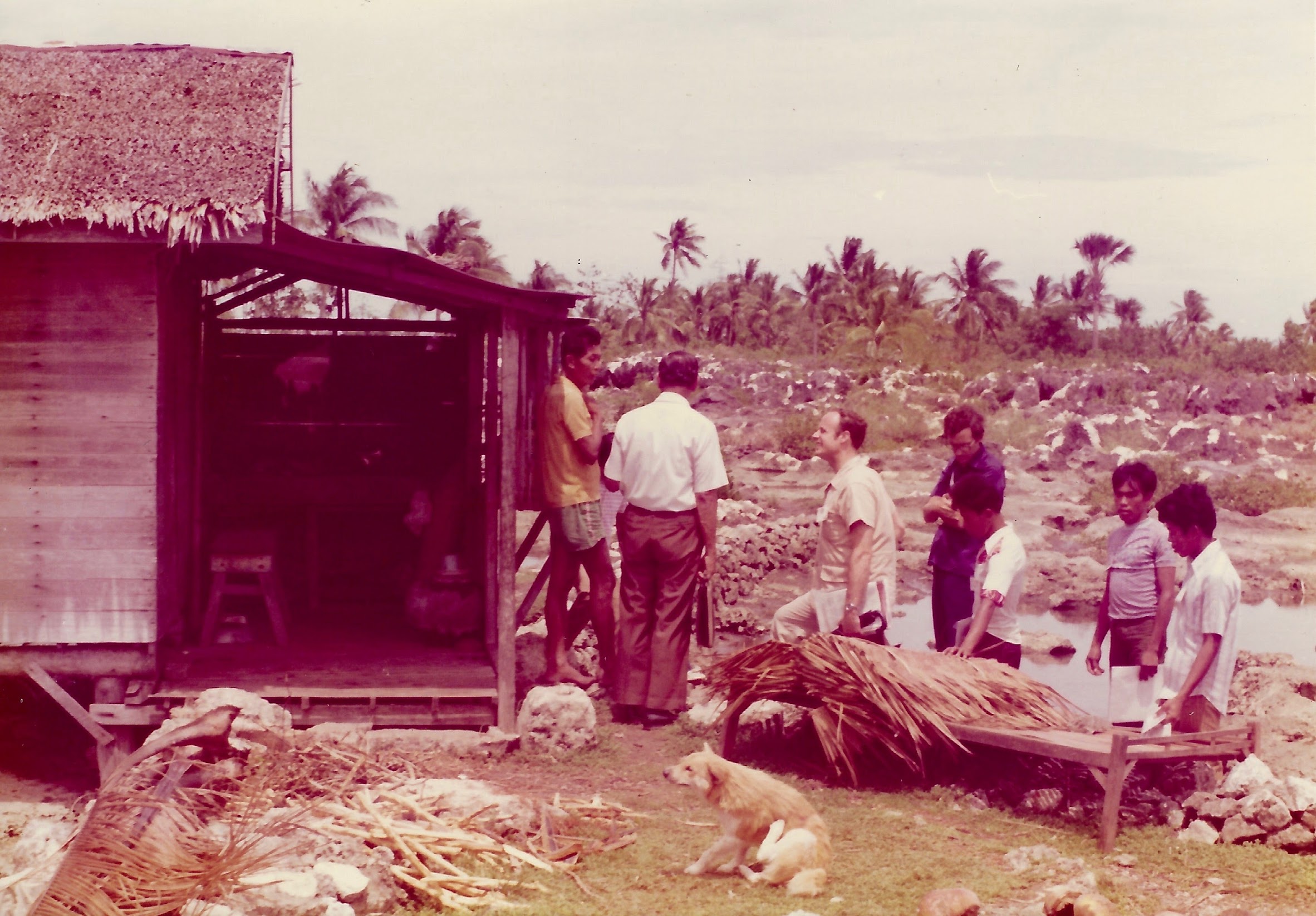 Sudtonggan Consult 6